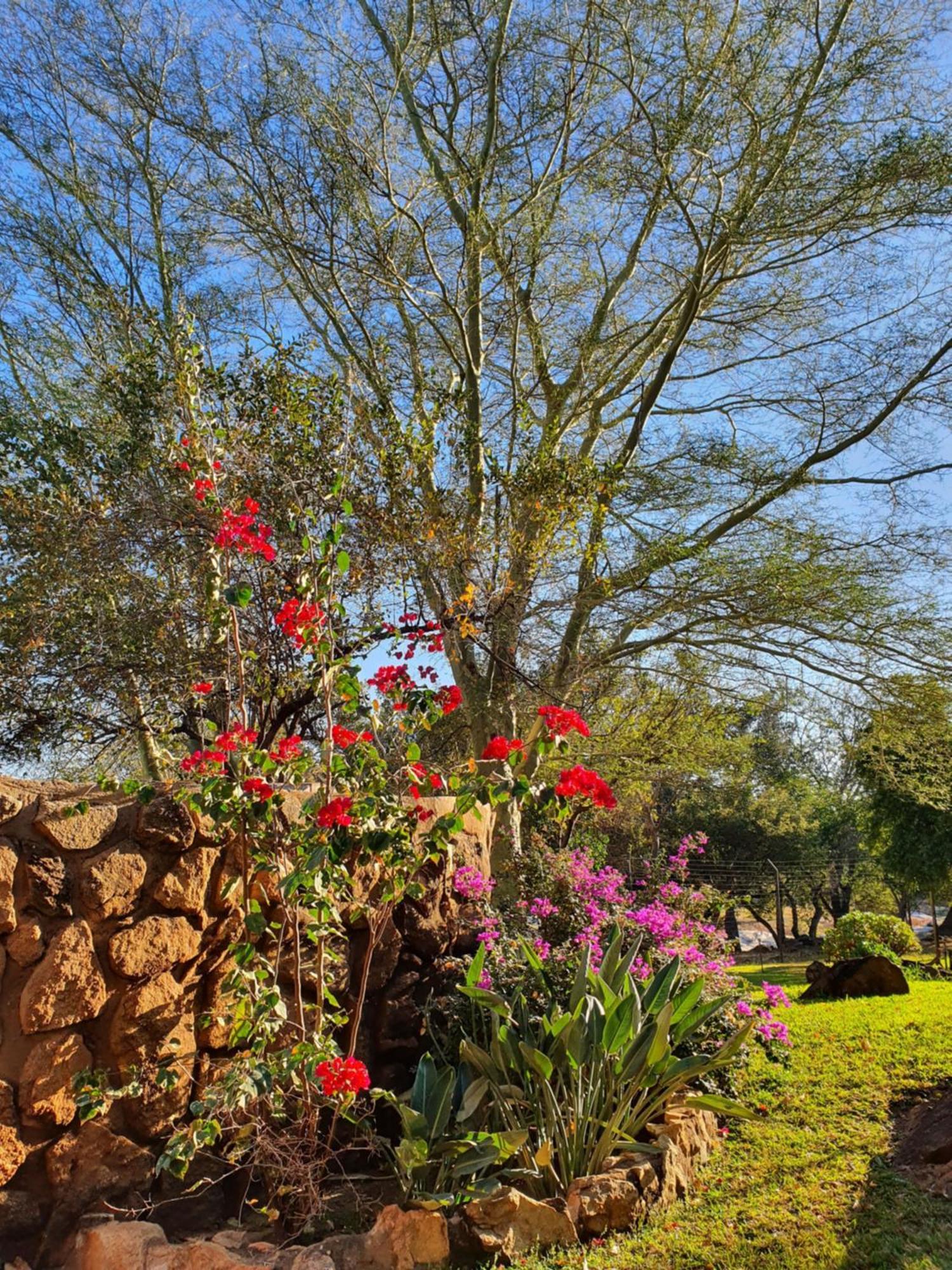 Hasekamp Family Bush Lodge Hoedspruit Eksteriør billede