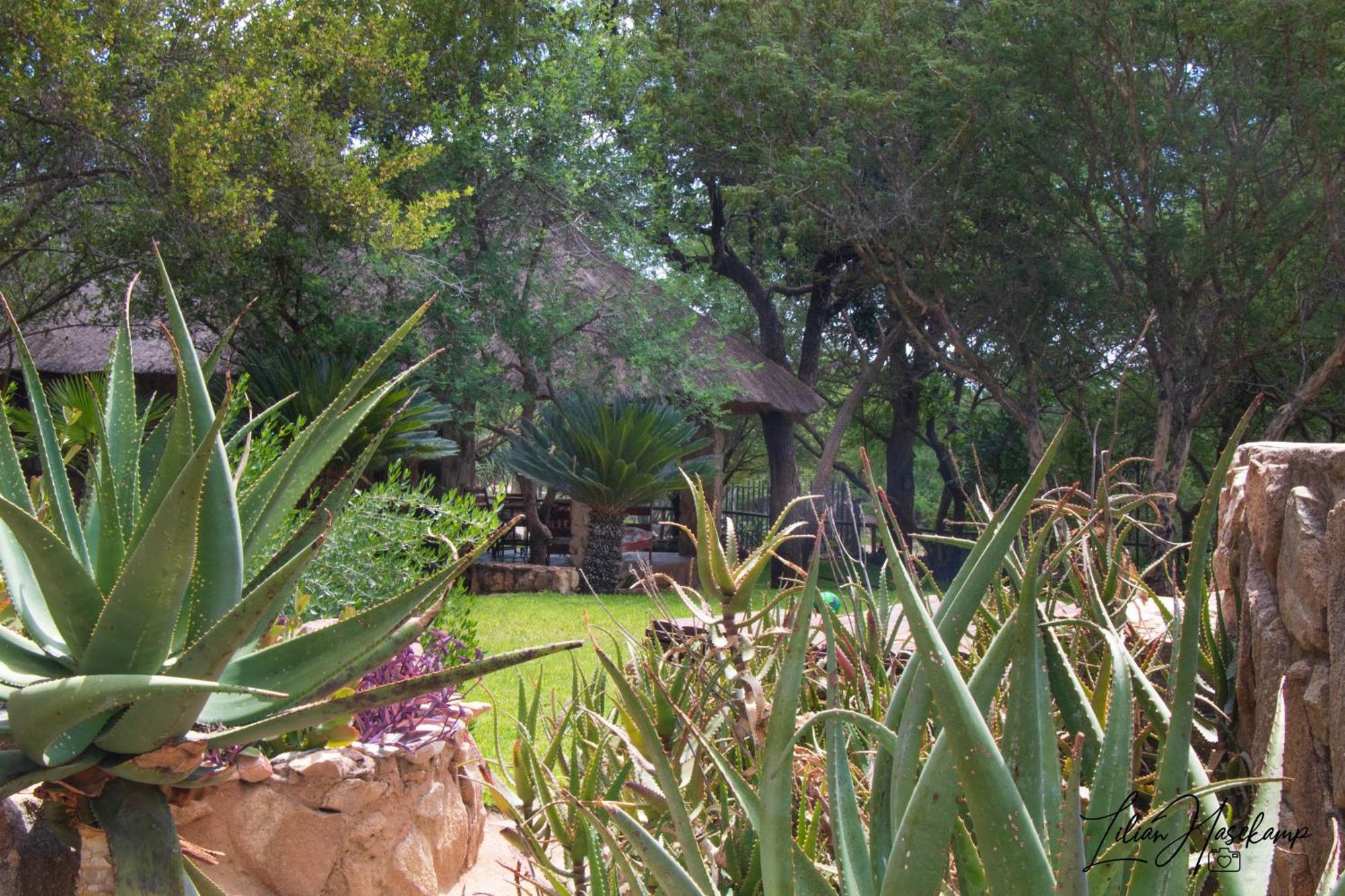 Hasekamp Family Bush Lodge Hoedspruit Eksteriør billede