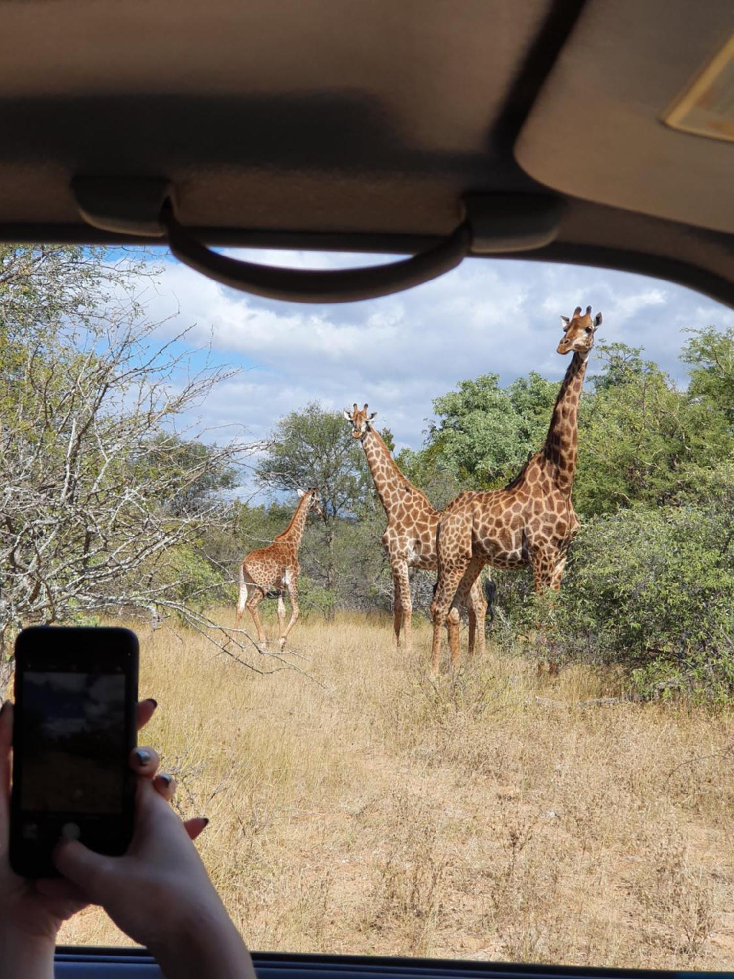 Hasekamp Family Bush Lodge Hoedspruit Eksteriør billede