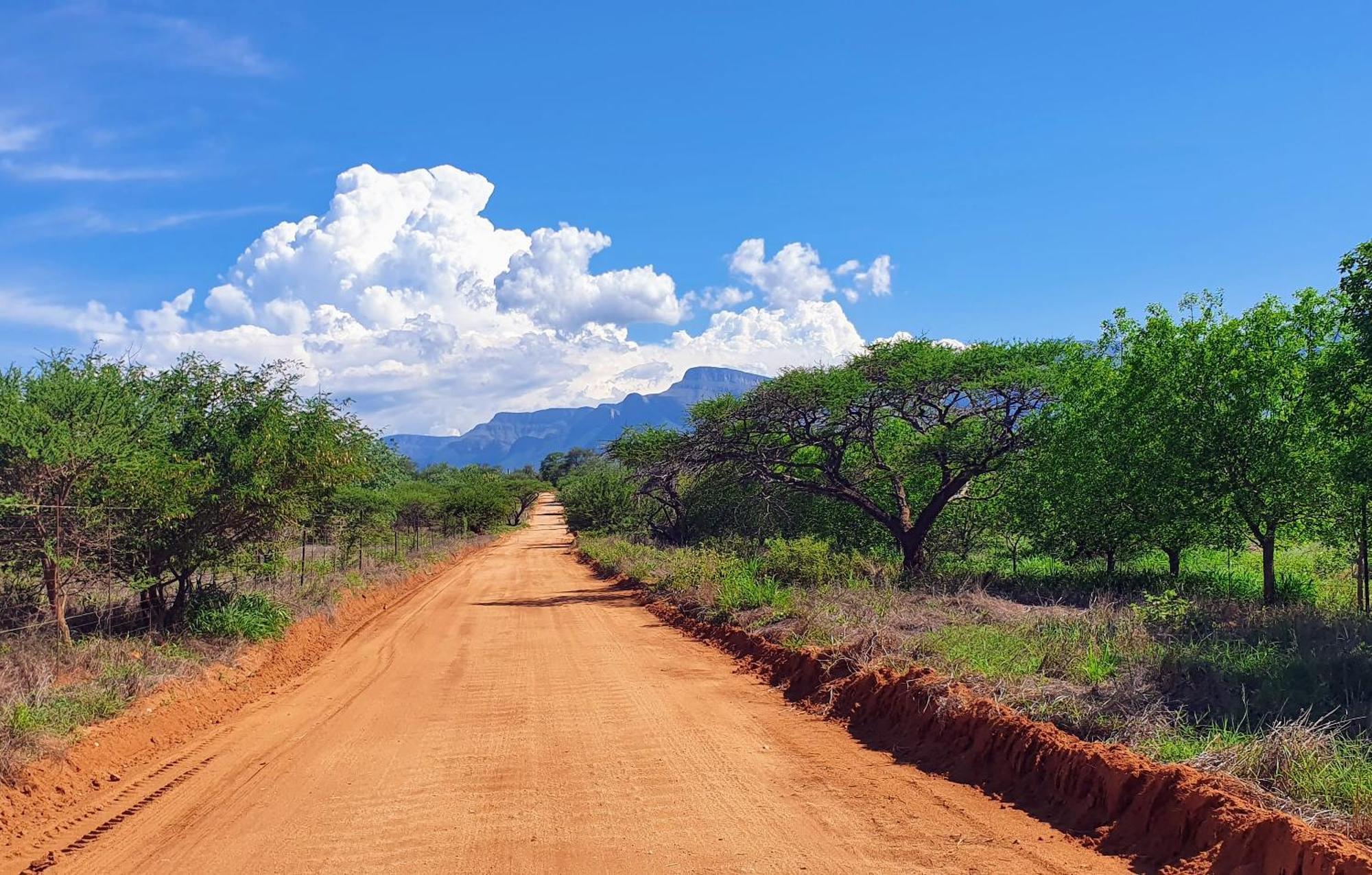 Hasekamp Family Bush Lodge Hoedspruit Eksteriør billede